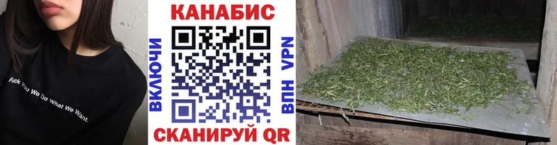 Купить где  Омутнинск  Каннабис сатива 